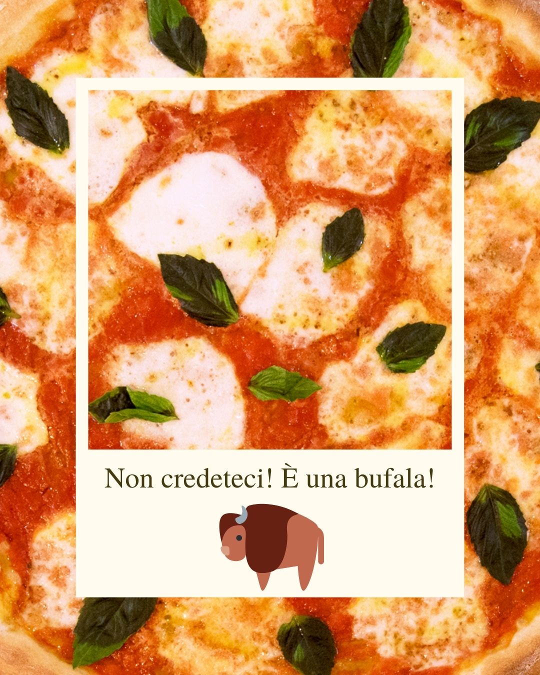comunicazione sui social per Casa Gabrielli