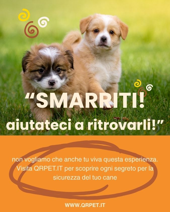 copywriting per QR Pet di Ideakod